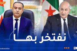 وليد صادي: “الرئيس تبون يولي اهتماما كبيرا لكرة اليد”