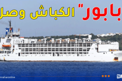 وصول أوّل باخرة محملة بأضاحي العيد من رومانيا إلى ميناء الجزائر