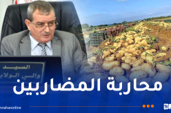 والي مستغانم: القانون سيأخذ مجراه ضد كل من يتلاعب بقوت المواطنين وأرزاق الفلاحين