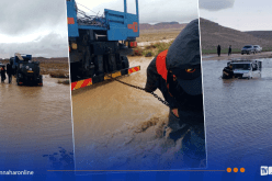 تبسة.. إخراج شاحنة وسيارة كانتا عالقتين في الوحل 