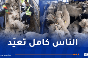 استيراد الأضاحي بوتيرة متسارعة إبتداءً من الأسبوع المقبل