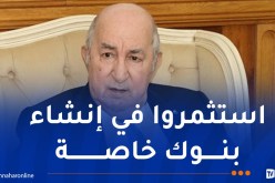 الرئيس تبون: من يريد إنشاء شركات في مجال النقل البحري فليتفضل