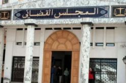 سوق أهراس.. الحبس المؤقت لشخص قام بذبح وبيع لحوم النعجة بطريقة غير شرعية