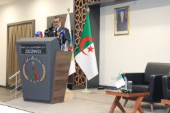 الجمارك الجزائرية في مواجهة تحديات التقليد والقرصنة