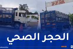 إدخال الكباش المستوردة إلى نقاط الحجر