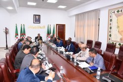 النعامة.. الشروع في بيع الأضاحي المستوردة ابتداءً من 4 ماي