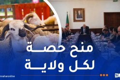 نقاط بيع أضاحي العيد وطريقة الشراء..وزير الفلاحة يعطي التفاصيل