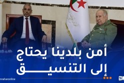  الفريق أول شنقريحة: أهمية العلاقات الجزائرية الموريتانية تتجلى في استقرار المنطقة ككل