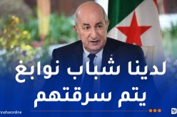 الرئيس تبون: هناك من ينتقدنا ..لكن لا يملك أرقامنا الاقتصادية المحققة