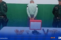 غليزان ..الإطاحة بسارق الكوابل الكهربائية الخاصة بالإنارة العمومية 