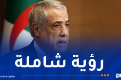 العرباوي :الرئيس تبون وضع أسس رؤية استراتيجية تنموية