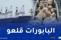أولى بواخر الأضاحي تصل الجزائر الخميس أو الجمعة.. وتخصيص 280 مركز حجر صحي