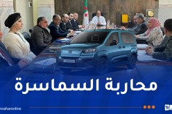عقد اجتماع بين 4 وزارات والدرك لمواجهة ظاهرة المضاربة بسيارات فيات الجزائر