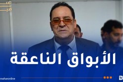 وزير الاتصال: يجب التحلي باليقظة الإعلامية لكشف تزييف الحقائق التي تنتهجها الأطراف المعادية للجزائر