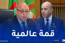 سايحي وربيقة يشاركان في القمة العالمية للإعاقة بألمانيا 