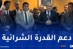 زيتوني: نجاح مبادرة خفض أسعار 880 منتوجا خلال شهر رمضان