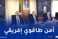 عرقاب: الجزائر تساهم في رسم سياسات استثمارية جديدة