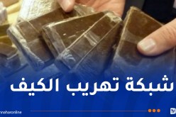 تفكيك شبكة دولية لتهريب المخدرات بتلمسان