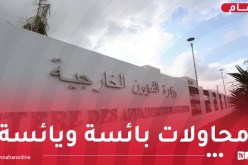 الخارجية الجزائرية تمتعض من البيان الصادر عن الحكومة المالية
