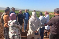 الشلف.. لقاء إرشادي للفلاحين بـ بوقادير لتطوير زراعة دوار الشمس