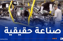 من بينها هيونداي.. 13 شركة عالمية تطمح لتصنيع السيارات بالجزائر