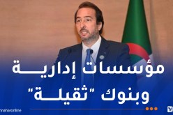 كمال مولى: نعاني من بيروقراطية الإدارة.. وملفات المستثمرين لا تُعالج في وقتها وأحيانا تبقى بلا رد