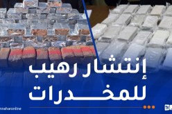معالجة 130 ألف قضية مخدرات.. حجز 5 أطنان من الكيف و3 قناطير كوكايين في 2024