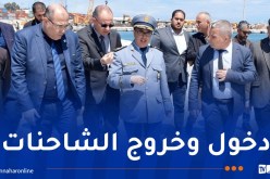 تدعيم وتهيئة الأرصفة بميناء الجزائر لاستقبال المواشي المستوردة