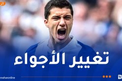 مازة يعيش آخر أيامه مع هيرتا برلين