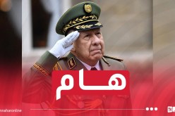 الفريق أول شنڨريحة في زيارة رسمية إلى جمهورية كوريا