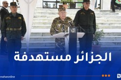 الفريق أول شنقريحة: أعداء الشعب الجزائري لم يهضموا إلى حد الآن استقلاله