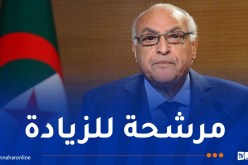 عطاف: المبادلات التجارية الجزائرية التركية بلغت 6 مليار دولار