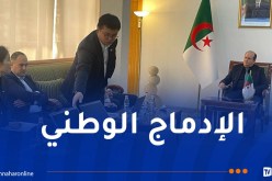شراكة جزائرية صينية لصناعة الألواح الشمسية محليا