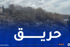 اندلاع حريق في غابة كاف كالة بالشلف