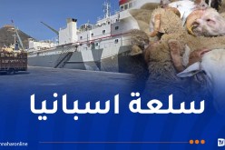وهران.. وصول باخرة محملة بـ 13 ألف رأس غنم قادمة من اسبانيا