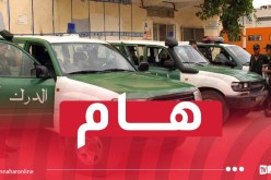 توقيف صاحب فيديو روج لنفوق 3 رؤوس ماشية مستوردة