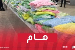 الأمن الوطني يضبط أكبر شحنة من الإكستازي في إفريقيا