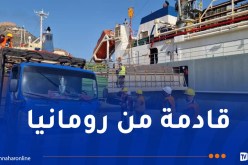 ميناء وهران يستقبل الليلة أكبر باخرة مُحملة بالأضاحي المستوردة
