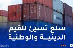 ضبط 20 حاوية مشبوهة بها سلع خطيرة منافية للأخلاق بميناء وهران