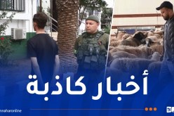 العاصمة: توقيف شاب روج لنفوق كباش مستوردة