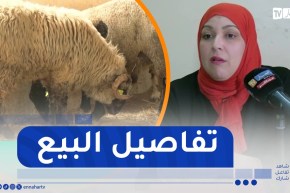 الأضاحي المستوردة..800 نقطة بيع والدفع الإلكتروني متوفر