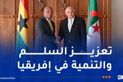 عطاف يُجري محادثات مع نظيره الغاني