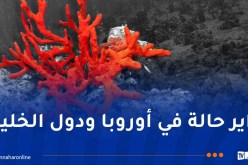 تسميم الجزائريين بمنتجات مستوردة “بيريمي” مقابل تهريب المرجان