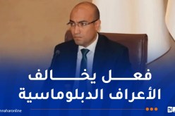 شايب:توقيف موظف قنصلي يتمتع بالحصانة الدبلوماسية فعل مشين 