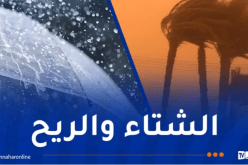 أمطار غزيرة..رياح قوية وزوابع رملية غدا الثلاثاء