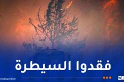 حرائق ضخمة في الأراضي الفلسطينية المحتلة..وسلطات الكيان تطلب مساعدة دولية