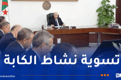 الرئيس تبون يأمر بتسوية نهائية لوضعية الشباب أصحاب الاستيراد المصغر “الكابة”