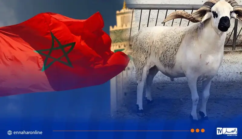 المخزن يخرج عن الصف.. وقفة عرفة بالجمعة وعيد الأضحى يوم السبت