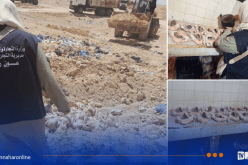 الجلفة: إتلاف 120 كلغ من الدجاج الفاسد داخل مطعم شواء