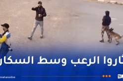 سيدي بلعباس.. توقيف ثلاثة أشخاص ظهروا في فيديو وهم يحملون أسلحة بيضاء